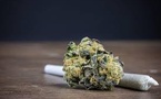 Trafic de e-cannabis au Sénégal : L'Ocrtis démantèle un réseau international