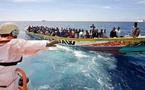 Espagne :Sept convoyeurs arrêtés, des migrants racontent l'horreur vécue en mer