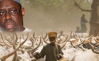 Macky Sall dégaine 10 millions FCFA pour mobiliser les éleveurs