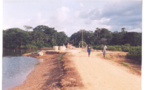 Casamance : Des projets de pistes de production sur l’axe Diégoune-Balingore- Affiniam