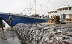 Pêche : Le Sénégal exige un partenariat équitable avec l’Union européenne