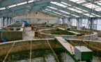 Vers la réalisation de trois fermes aquacoles dans la réserve de Ndiaël