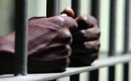 Révélation : 800 à 900 Sénégalais croupissent dans les prisons du monde
