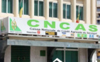 COMMERCIALISATION ARACHIDIÈRE : 2 MILLIARDS DE FRS CFA DE LA CNCAS AUX OPÉRATEURS DE KAOLACK