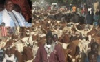Abus de confiance: Le verdict de l'affaire du responsable de l’abattoir de Cheikh Bethio Thioune