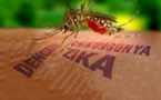 L'OMS convoque une réunion d'urgence sur le virus Zika
