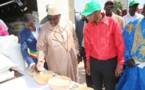 Vélingara : Les producteurs de riz dans le bassin de l'Anambé recouvrent leurs dettes contractées à la CNCAS.