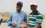 Kédougou, du poisson frais au DAC d’Itato
