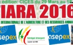 FIARA 2016 : L'ASEPEX accompagne 8 entreprises sénégalaises