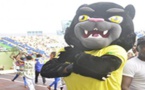 Can 2017 : Ngoussi tacle Samba la mascotte