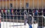 Plus de 40 autres Sénégalais expulsés des États-Unis