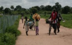 Plus de 14 000 personnes réfugiées en Gambie et Guinée Bissau