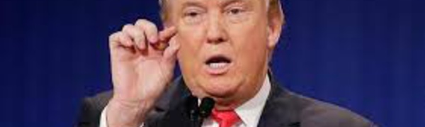 Donald Trump chante Mahna Mahna .......Regardez