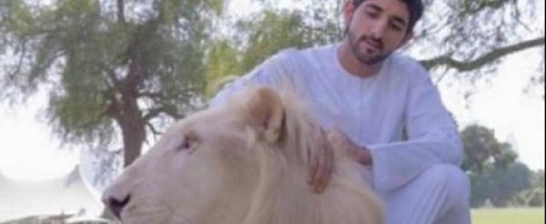 Vis ma vie de prince blindé à l'or noir : quand le Prince héritier de Dubaï se lâche