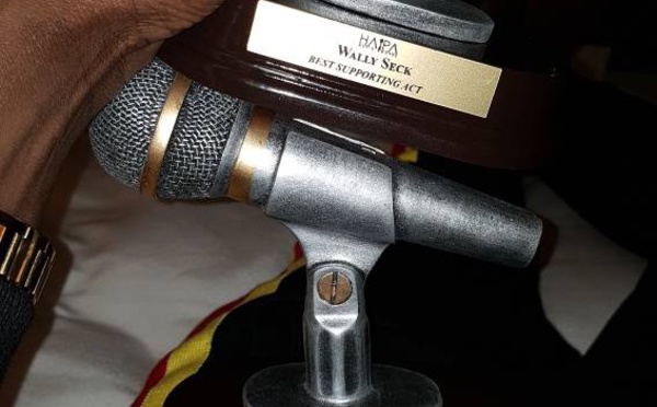 HAPA AWARDS 2017 : Wally Ballago Seck remporte deux trophées
