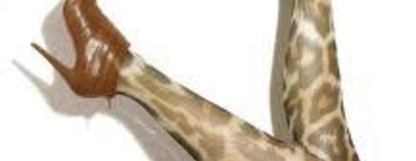 Pour lui trouver du travail : Un ancien ministre propose à une animatrice des parties de jambes en l’air