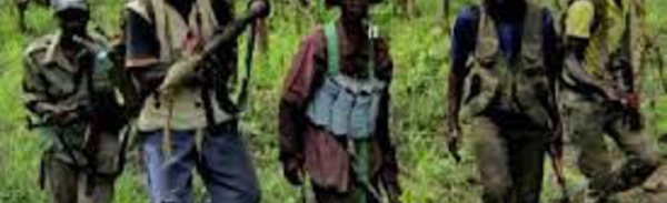 Bignona : quatre personnes blessées dans un braquage dans le Nord Sindian (source sécuritaire)