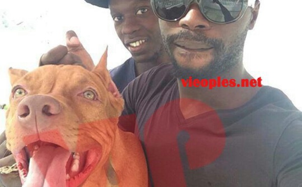 Le fils de Idrissa Seck Ablaye achéte un chein pitbul à 1 million de franc CFA.