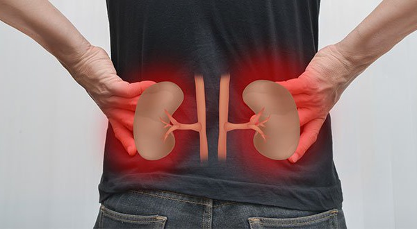 7 Aliments qui nettoient vos reins