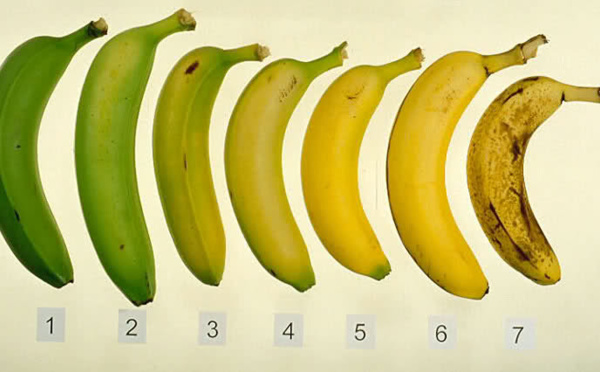 Savez-vous laquelle de ces sept bananes est la meilleure pour vous et votre santé