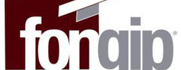 AVIS A MANIFESTATION D’INTERET  Fonds de Garantie des Investissements prioritaires (FONGIP)  AMI n° C_FGIP_16-031