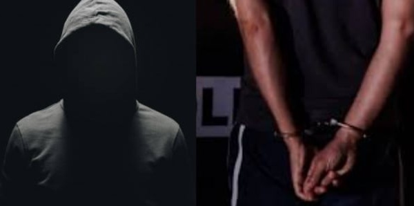 Affaire « Kocc Barma » : plus de 120 000 fichiers porno explosifs saisis sur deux sites