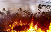 Saraya : 48 incendies de brousse emportent plus de 2000 hectares du tapis herbacé