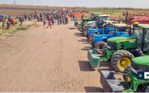 Litige foncier à Thiès: la justice tranche et donne raison à Nouvelle Ville