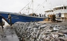 L’informel hors des radars budgétaires ? Une lecture incomplète des finances publiques