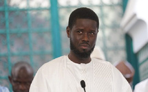 Parcelle Assainies : le militant de Pastef, la photo des parents de Diomaye Faye et le...